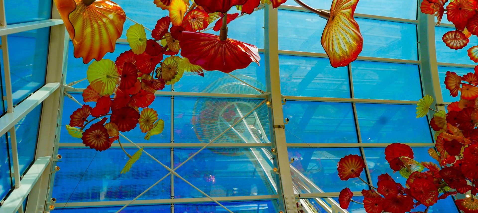 Seattle DMC Chihuly garden and glass