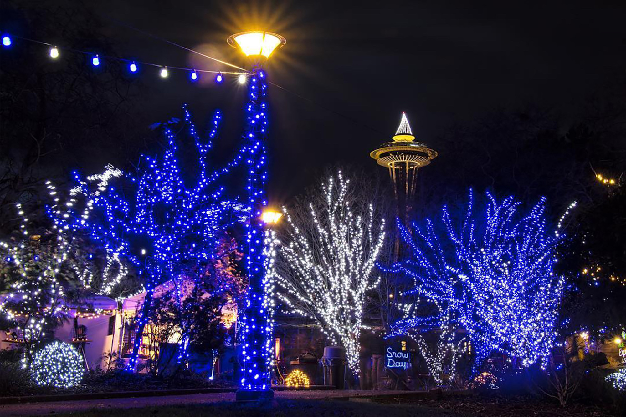 Seattle Winterfest Event with Christmas Lights