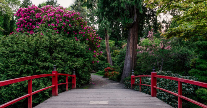 Kubota Garden in Seattle