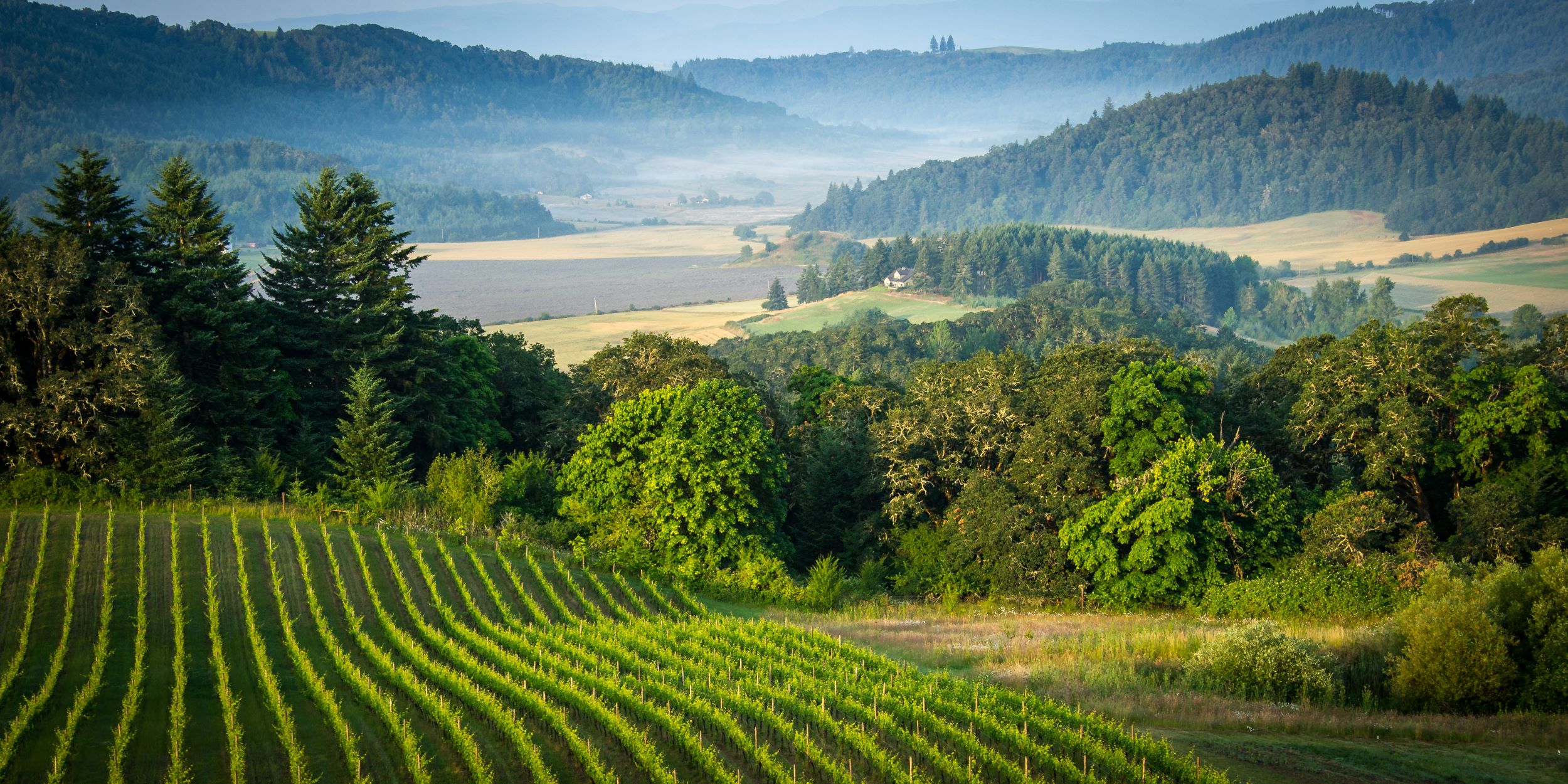 How to Plan an Unforgettable Company Event in Oregon Wine Country